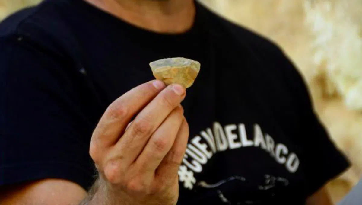 В Испании нашли останки доисторической «мясной лавки»