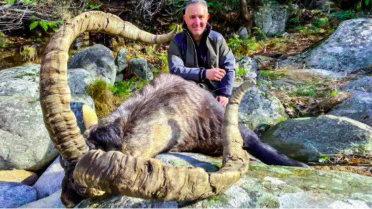 В Испании охотник подстрелил уникального горного козла