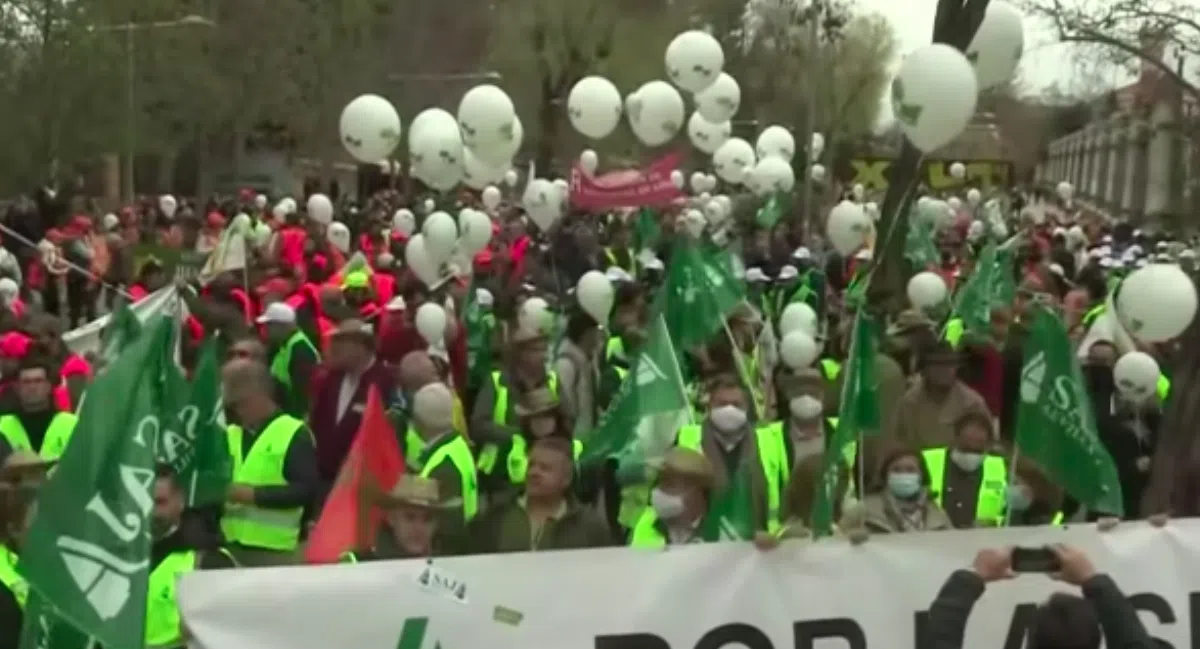 В Мадриде прошёл многотысячный митинг фермеров