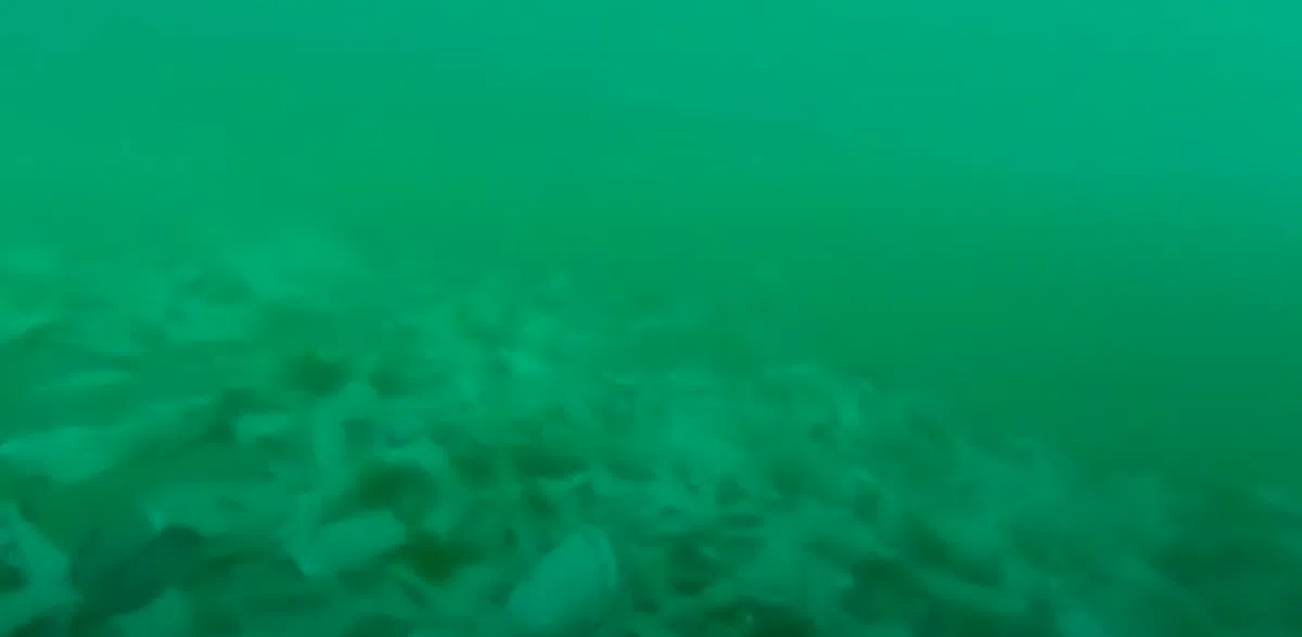 На дне моря возле Марбельи нашли целую гору салфеток