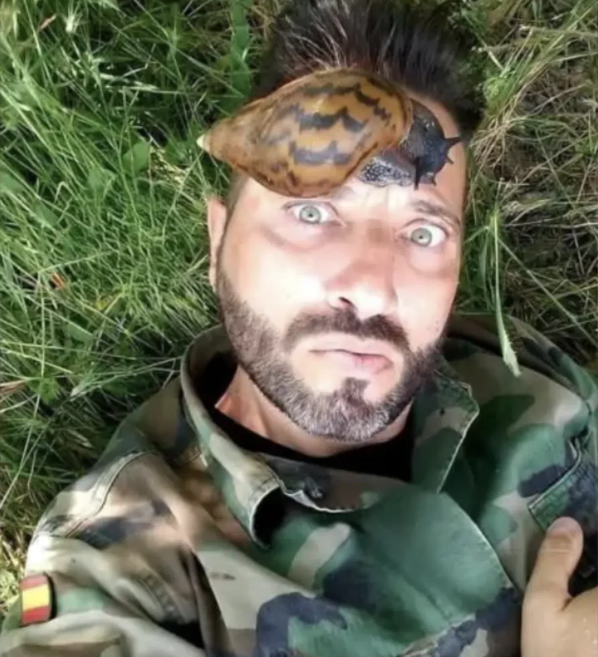 Испанского военного в отставке обвинили во ввозе улитки в Никарагуа