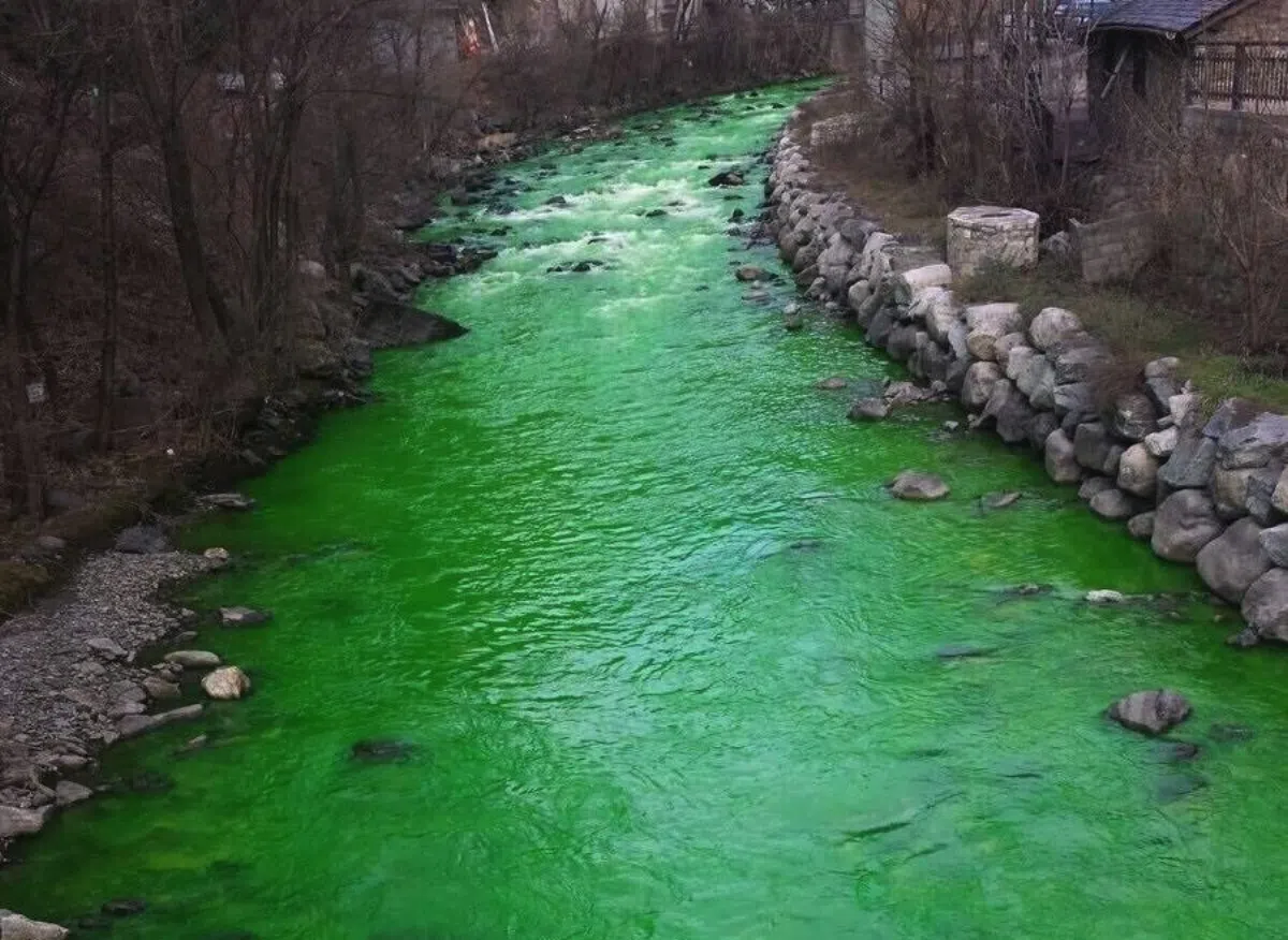 Жители каталонского городка встревожены позеленевшей водой в реке