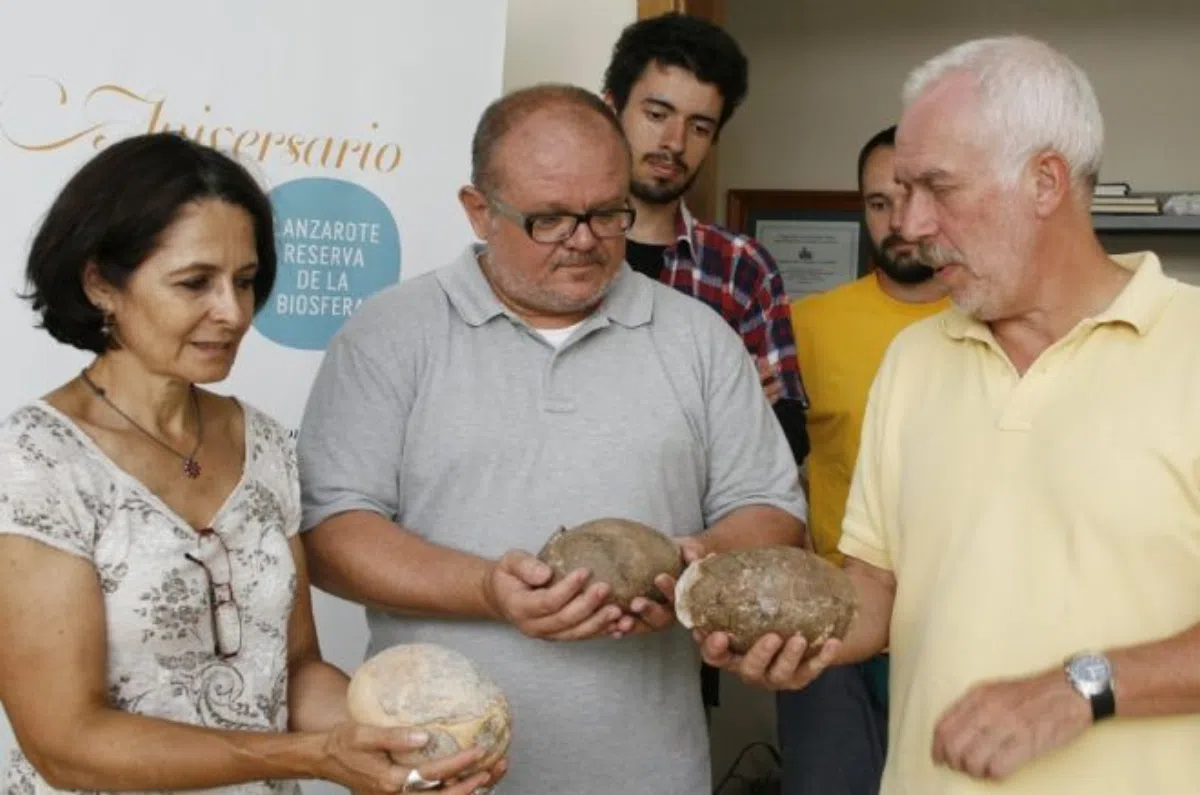 На острове Лансароте обнаружено яйцо древней птицы