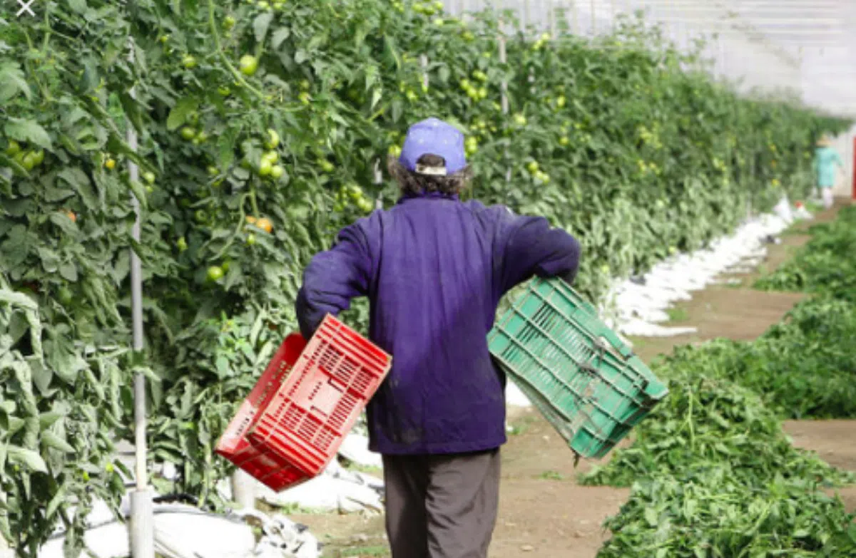 Безработица в Испании снизилась на 3,4% в 2019 году