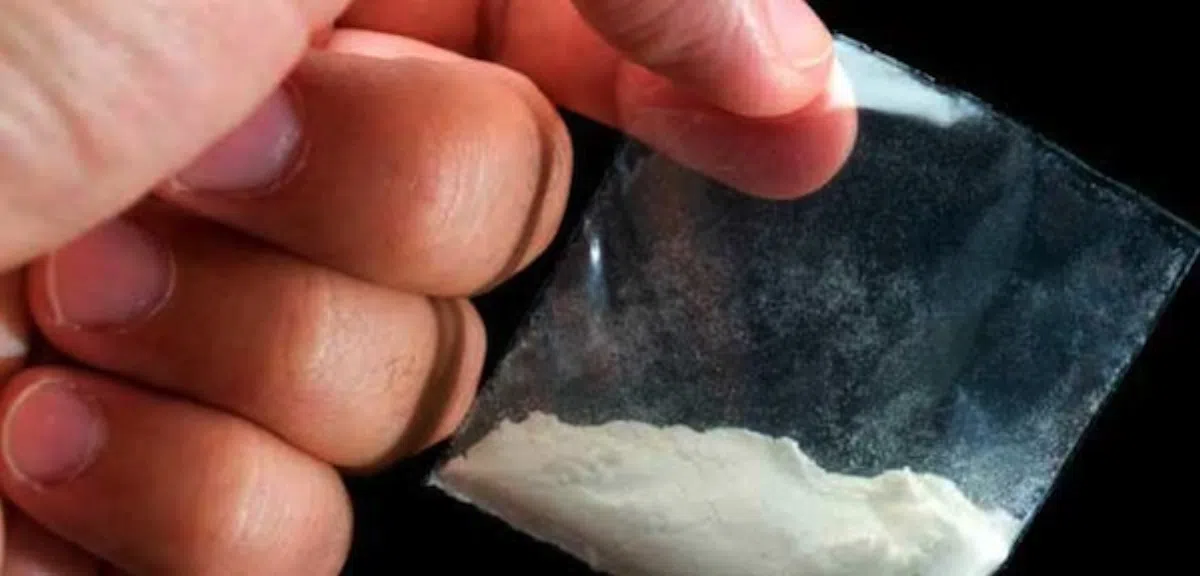 В Эстепоне ликвидирована служба доставки кокаина - Tele-Coca
