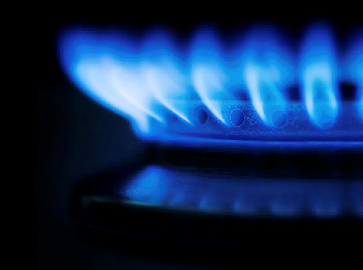 Испания: Франция препятствует созданию альтернативы российскому газу