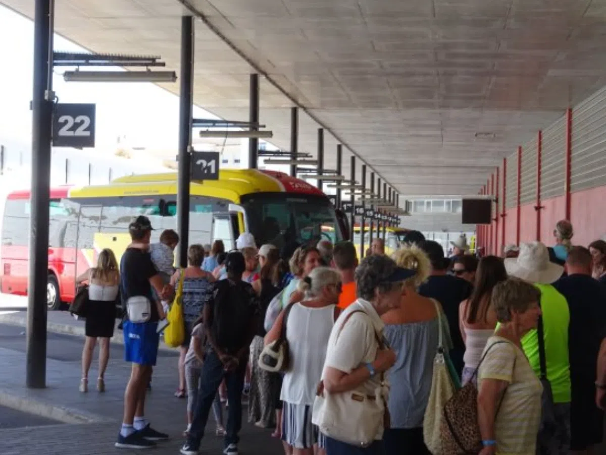 В 2019 году на Менорке появятся пассажирские электробусы