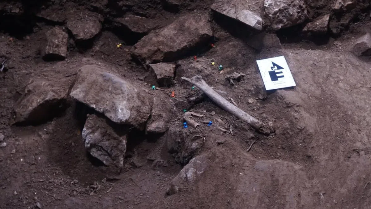 В Таррагоне найдено 3000-летнее массовое захоронение