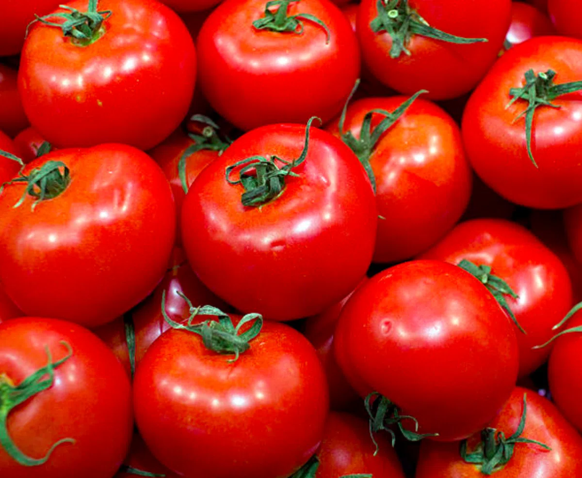 Диетологи из США: 4 продукта помогут вырастить гения