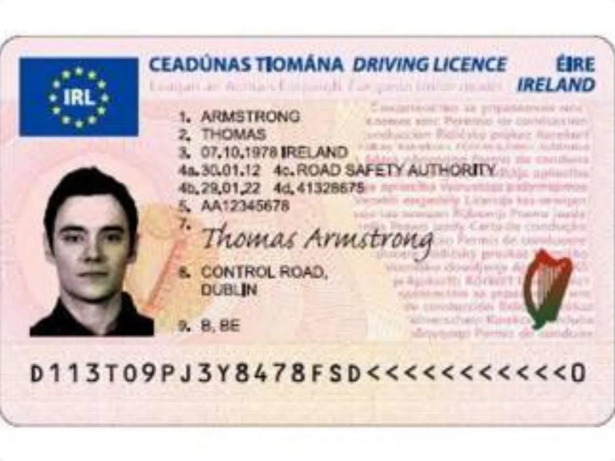 В ЕС начали выдавать водительские права единого образца
