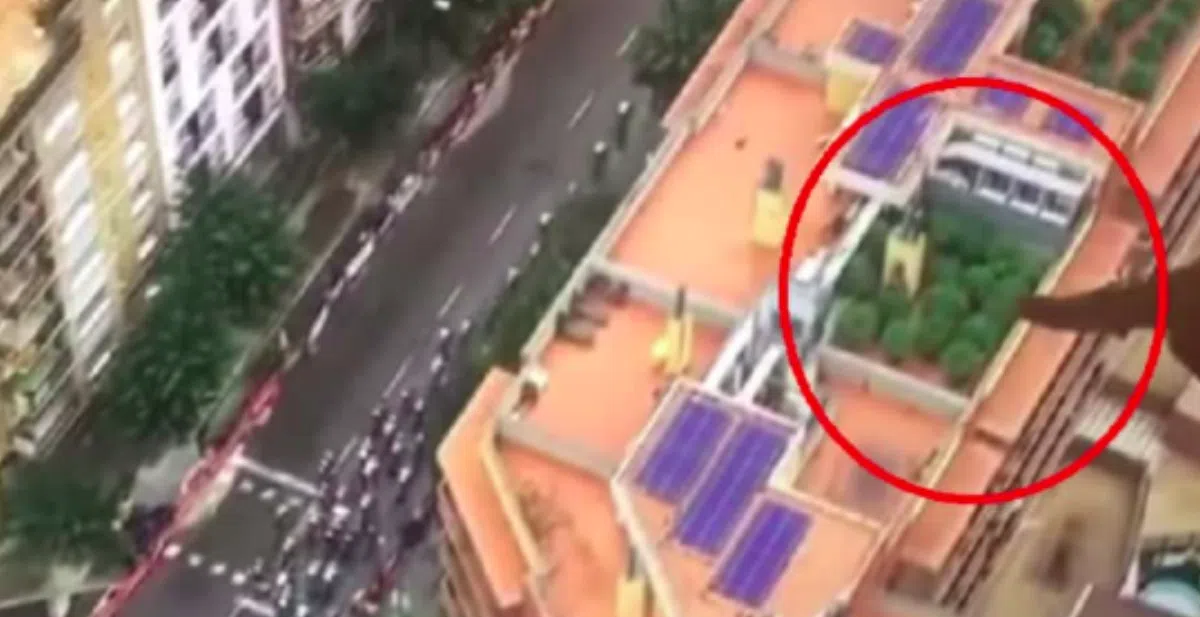 Трансляция испанской велогонки с воздуха помогла обнаружить плантацию марихуаны